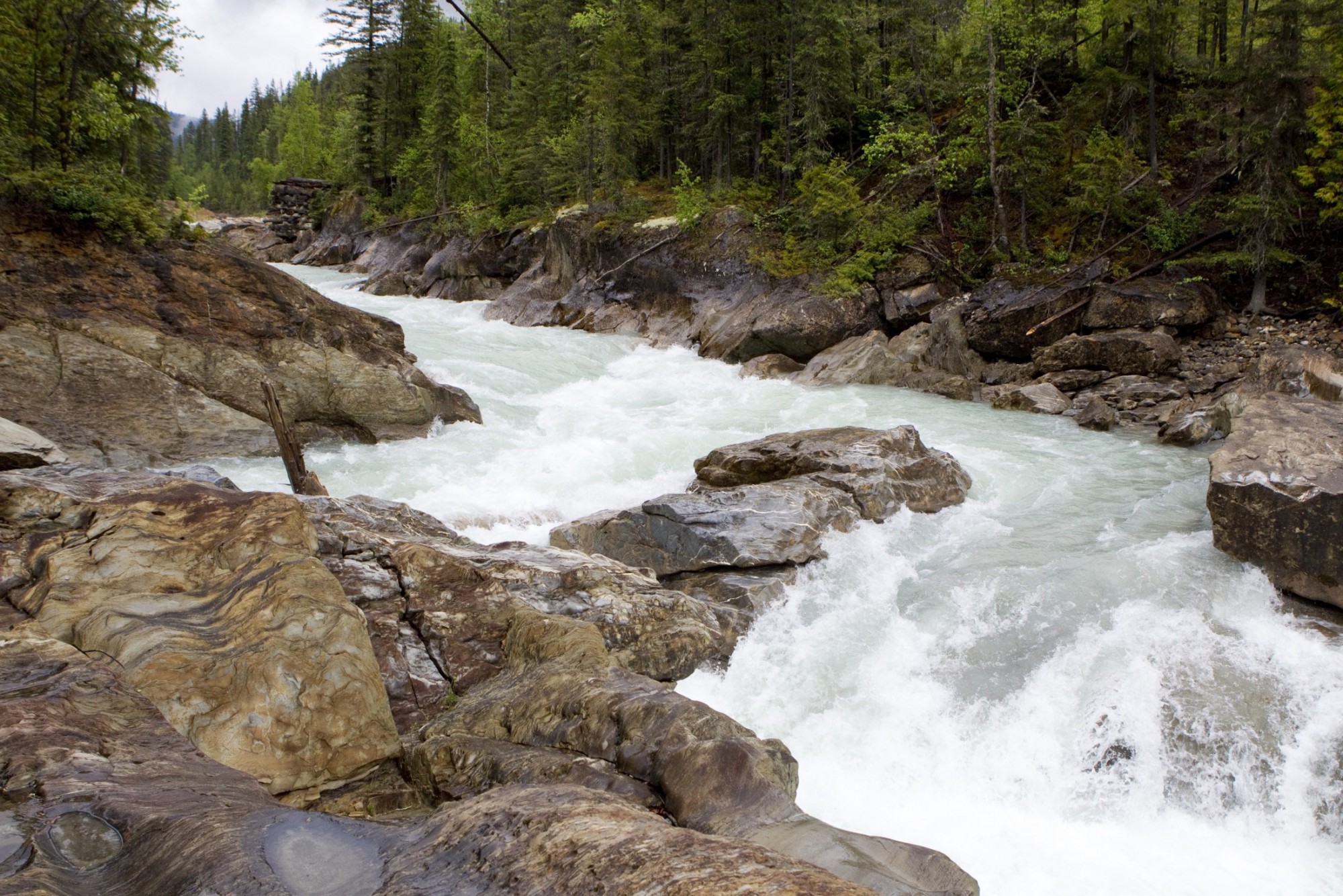 Exploring Thompson Falls Tourism Golden